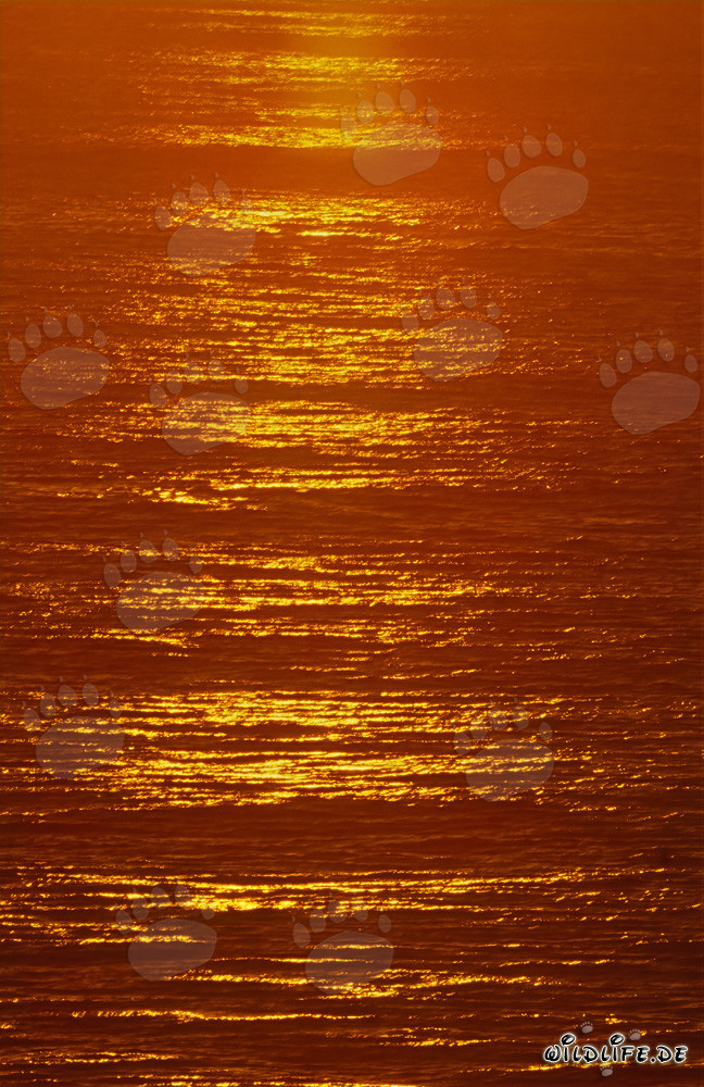 Colores dramáticos en la puesta de sol en la bahía de Walker