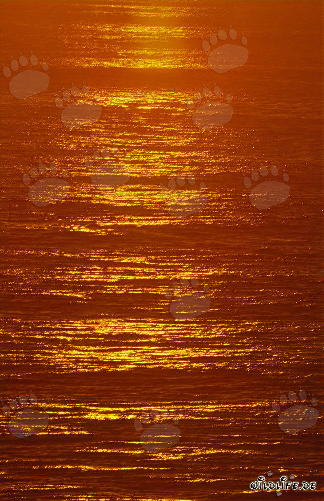 Dramatische Farben beim Sonnenuntergang in der Walker Bay