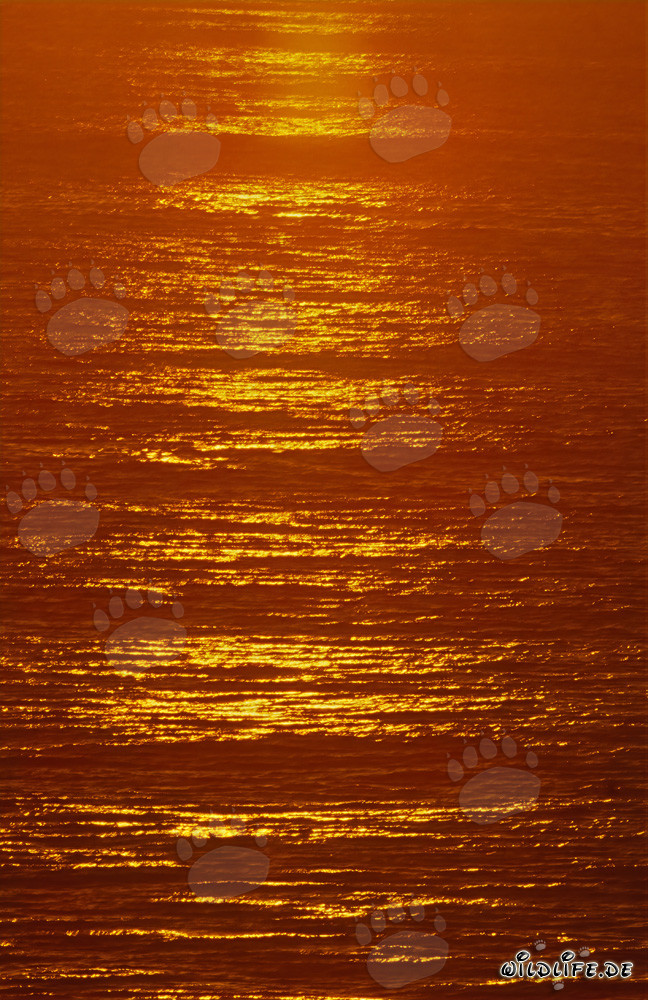Colori drammatici al tramonto nella baia di Walker