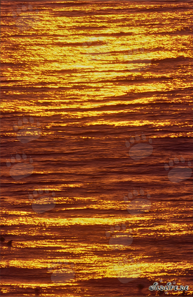 Fascinante puesta de sol en la bahía de Walker en Sudáfrica