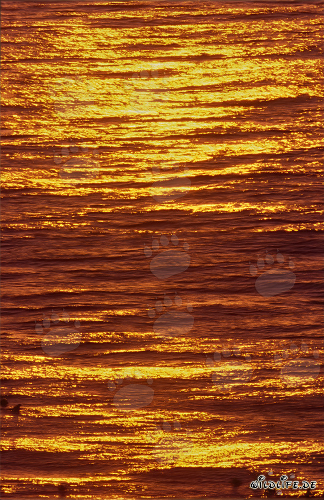 Fascinating sunset at Walker Bay in South Africa