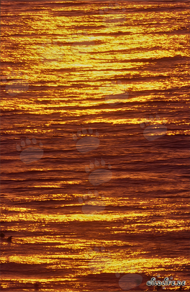 Affascinante tramonto nella baia di Walker in Sudafrica