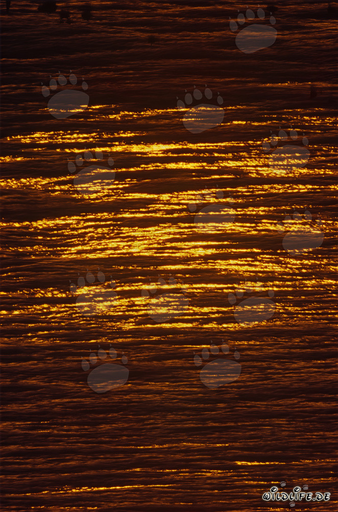 Atardecer mágico sobre la bahía de Walker en Sudáfrica
