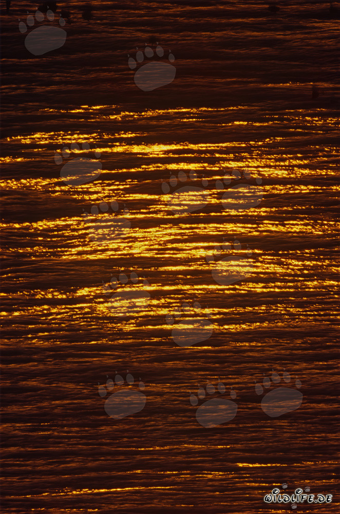 Coucher de soleil magique sur la baie de Walker en Afrique du Sud
