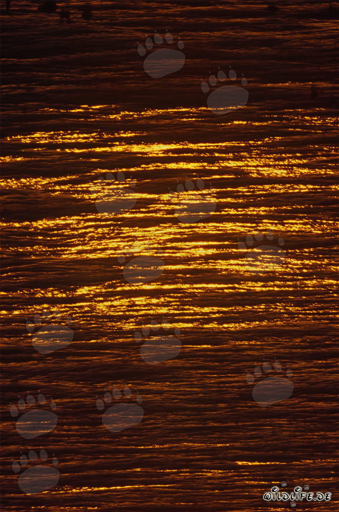 Tramonto magico sulla baia di Walker in Sudafrica