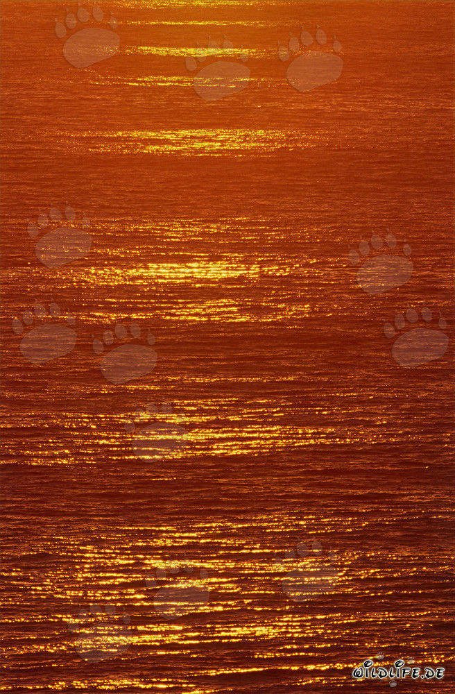 Romántica puesta de sol sobre la bahía de Walker en Sudáfrica