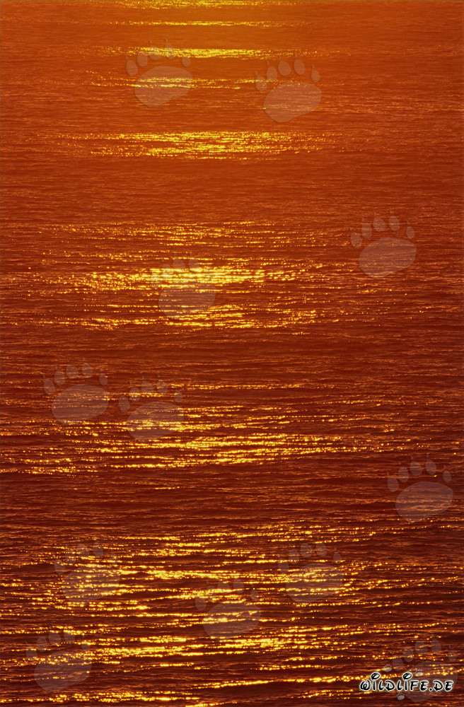 Romantic sunset over Walker Bay in South Africa