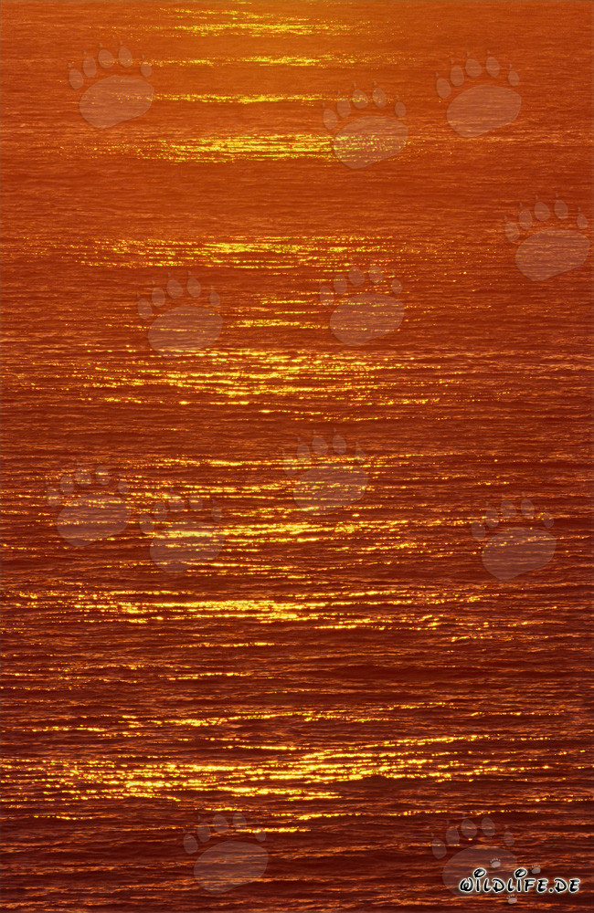 Tramonto colorato sulla baia di Walker in Sudafrica