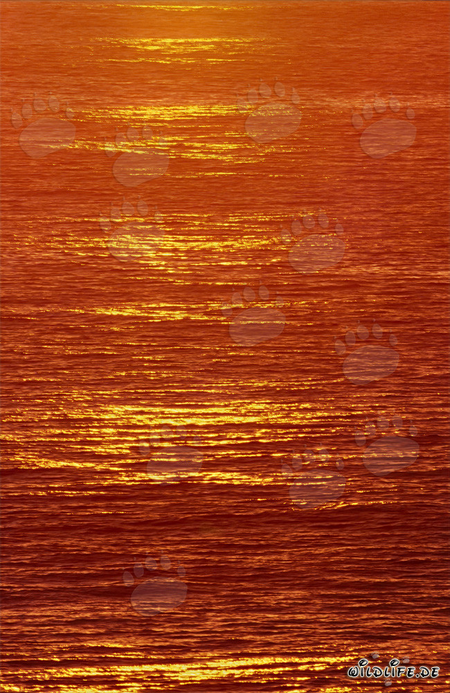 Atardecer mágico sobre la bahía de Walker en Sudáfrica