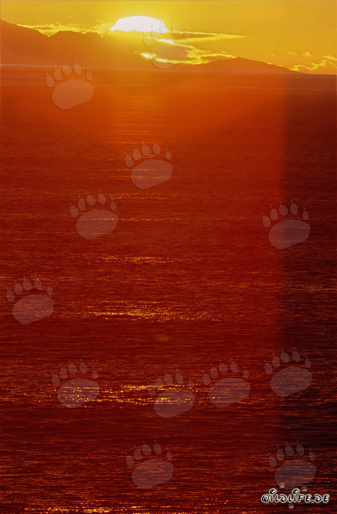 Coucher de soleil fascinant à la baie de Walker en Afrique du Sud
