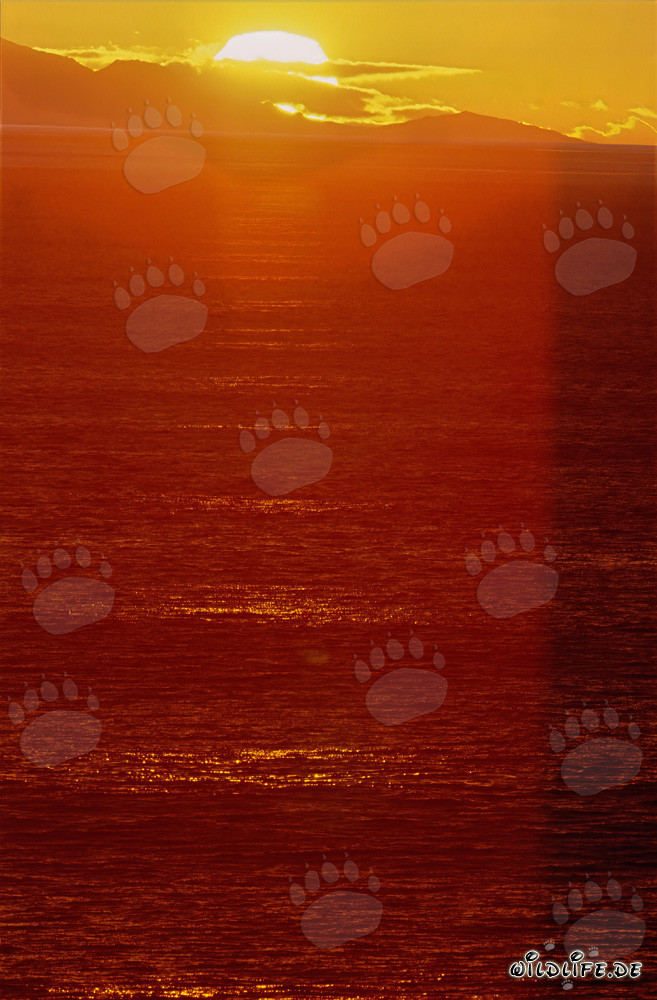 Fascinante puesta de sol en la bahía de Walker en Sudáfrica