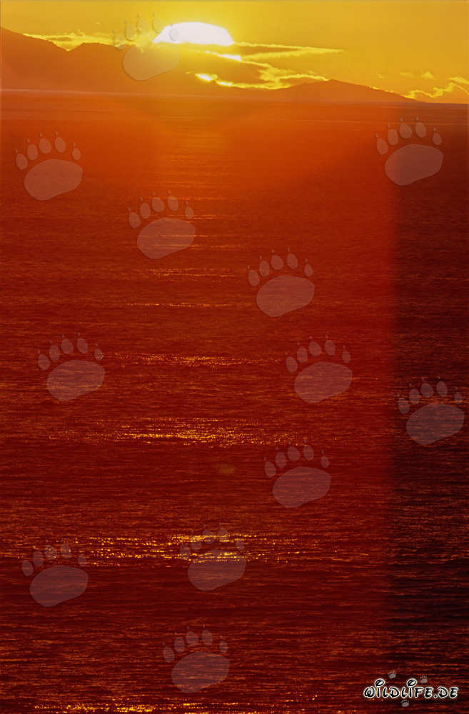 Faszinierender Sonnenuntergang an der Walker Bay in Südafrika