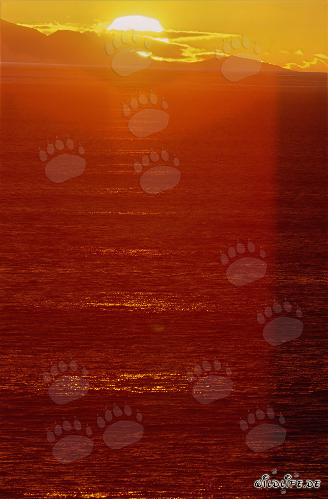 Fascinating sunset at the Walker Bay in South Africa