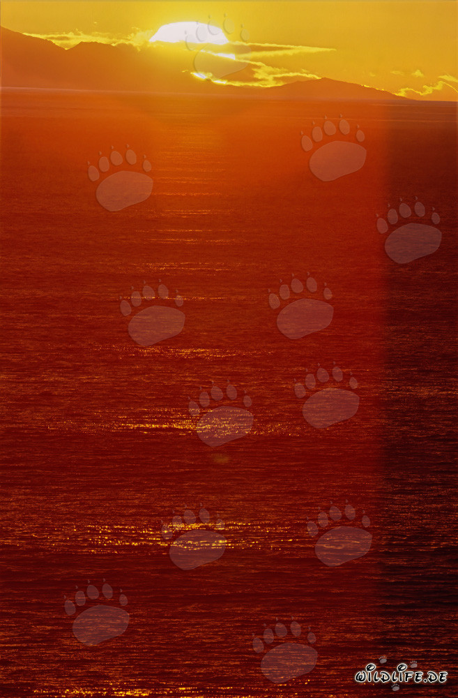 Fascinante tramonto nella baia di Walker in Sudafrica