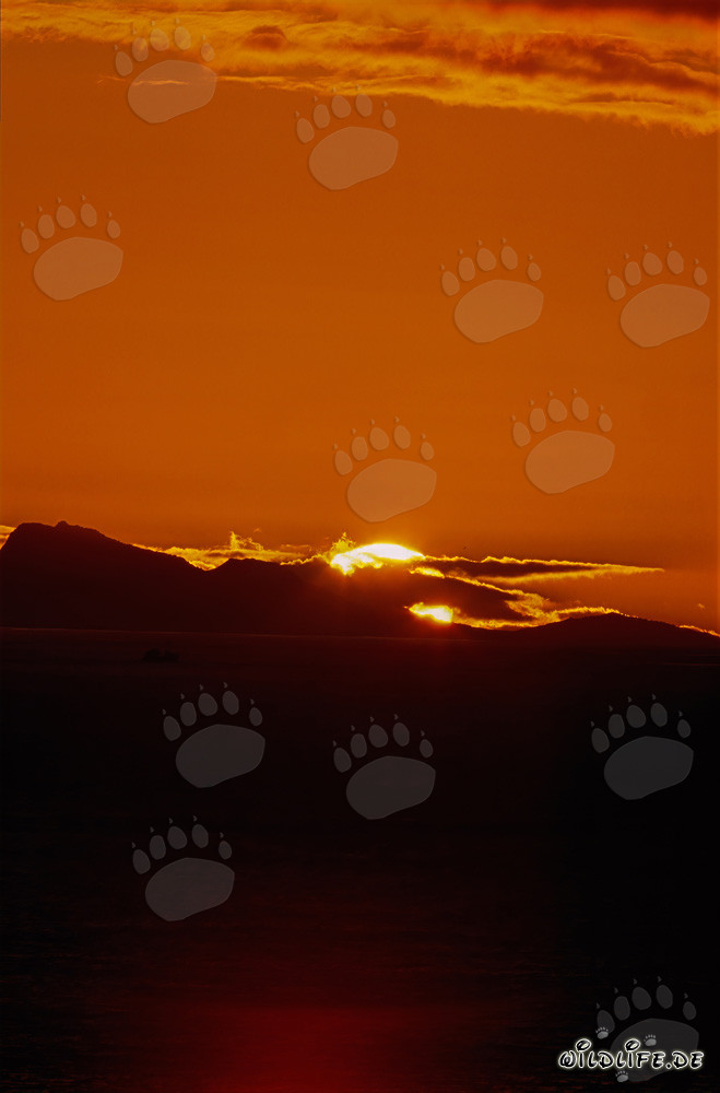 Romantischer Sonnenuntergang über dem Meer in der Walker Bay, Südafrika