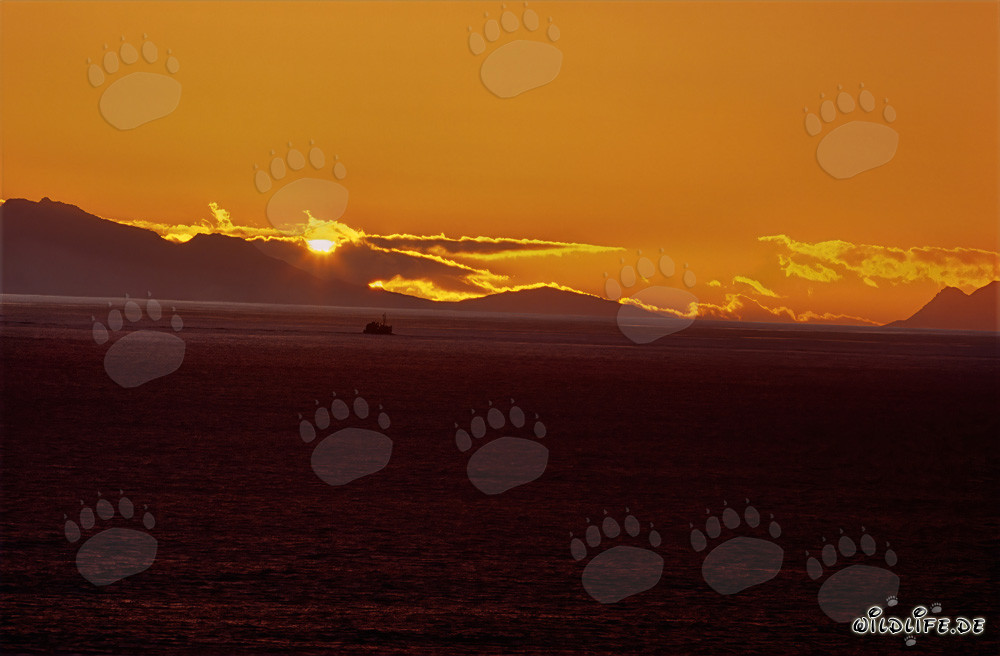 Romántica puesta de sol en la bahía de Walker en Sudáfrica