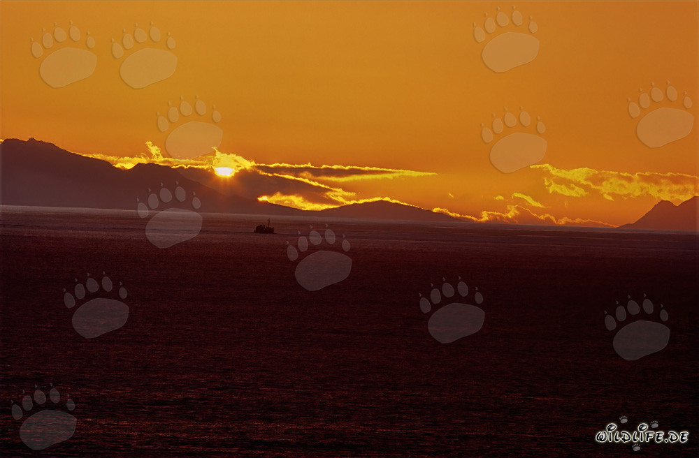 Romantico tramonto sulla baia di Walker in Sudafrica