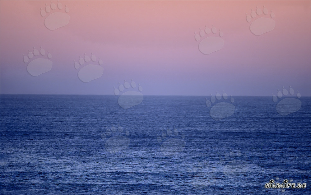 Luce magica al tramonto sulla baia di Walker