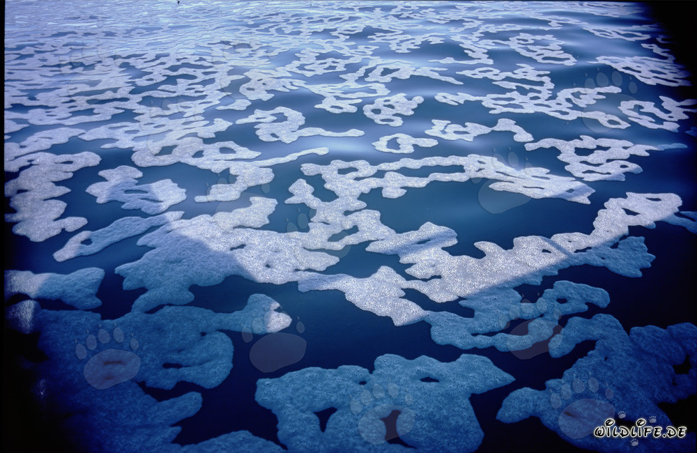 Affascinanti motivi sulla superficie del mare