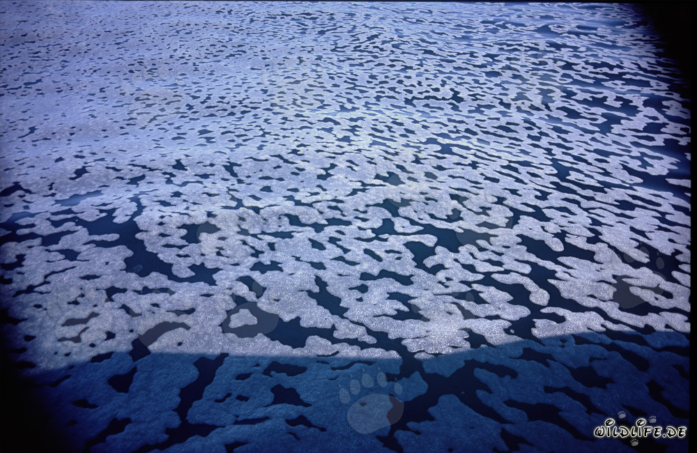 Interesting structures on the surface of the sea
