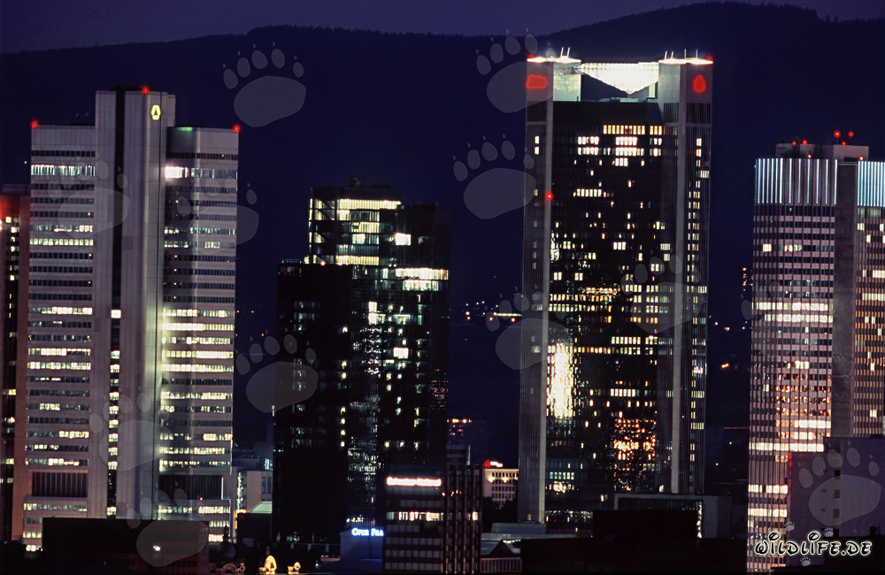 Impressionnante skyline de Francfort de nuit