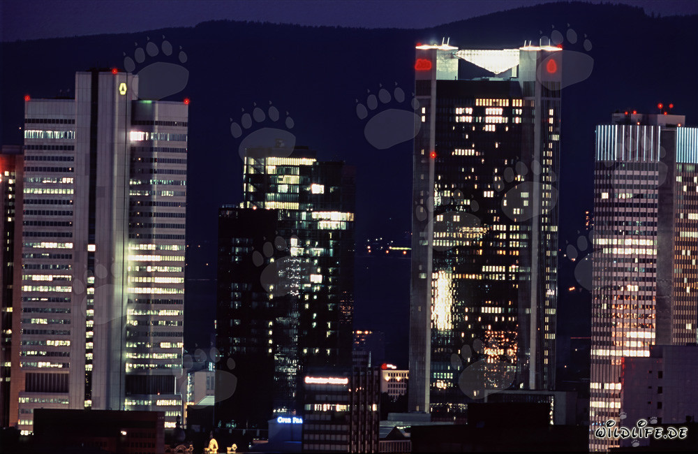 Fascinating Frankfurt Night-Time Skyline