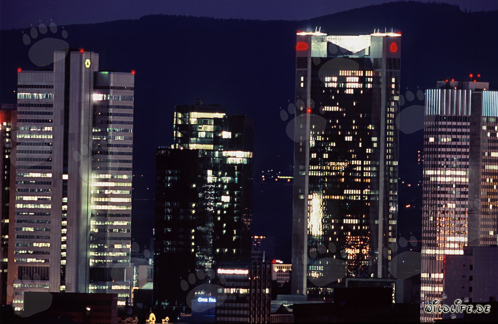 Faszinierende Skyline von Frankfurt bei Nacht