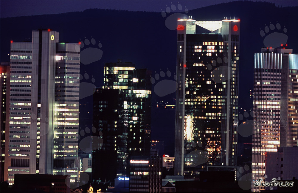 Fascinante skyline de Frankfurt de noche