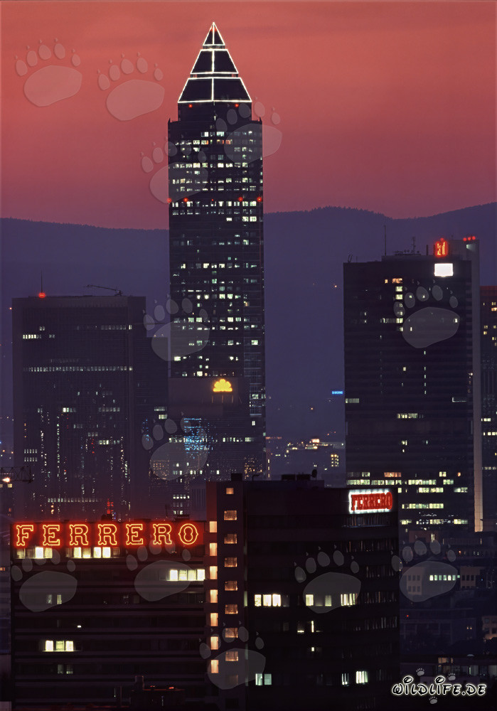 Fascinante Torre de Ferias de Frankfurt en la luz dorada de la tarde