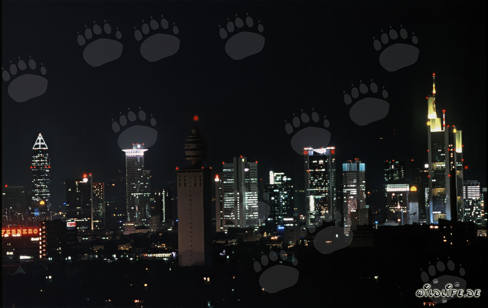 Skyline de Francfort de nuit - Impressionnante photo nocturne de la célèbre skyline de Francfort