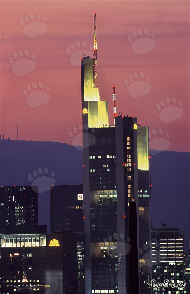 Lumière du soir fascinante sur la Commerzbank à Francfort