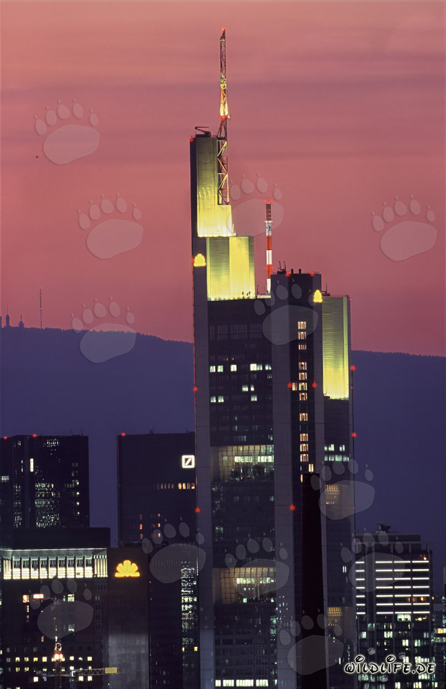 Fascinating evening light at the Commerzbank Frankfurt
