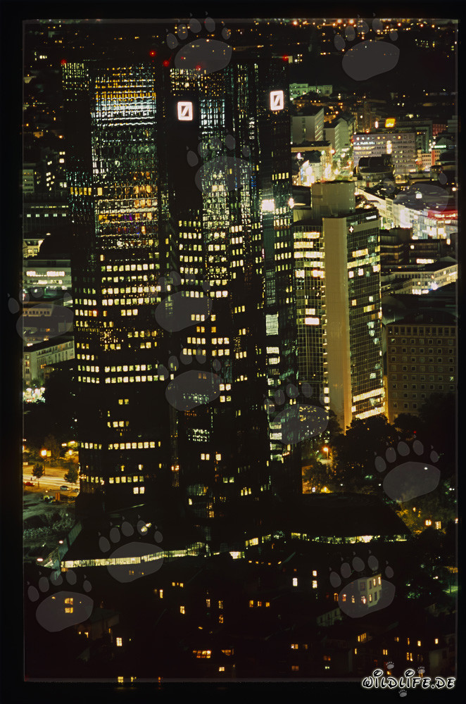 Majestätisches Commerzbank-Hochhaus in Frankfurt bei Nacht