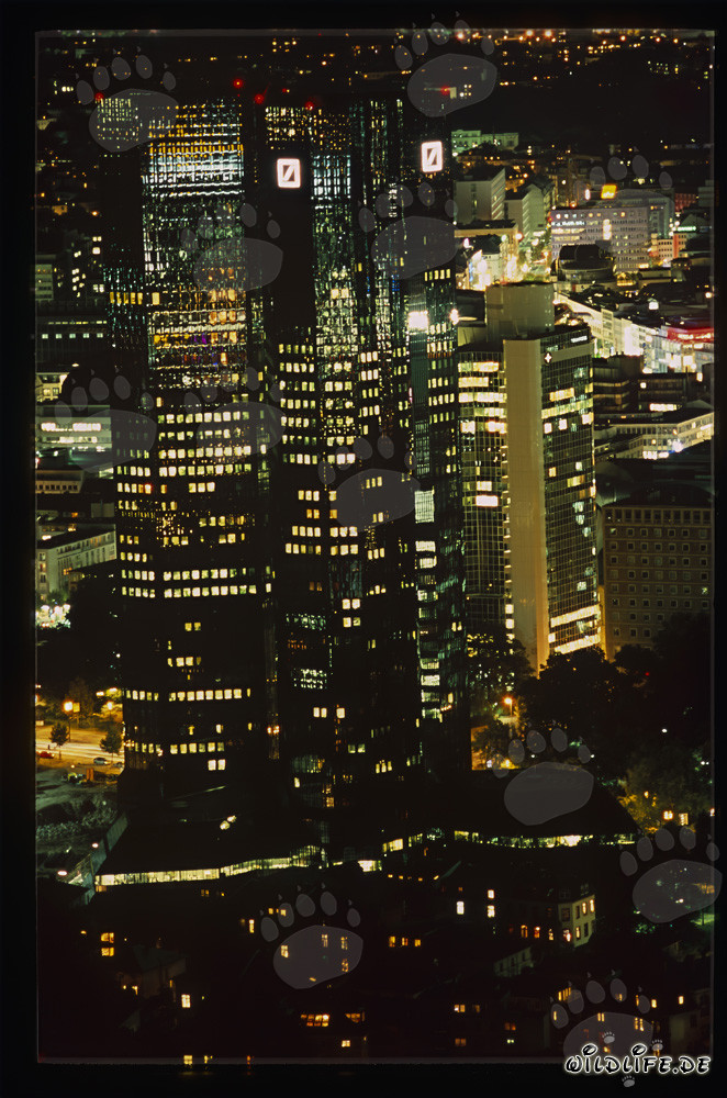 Majestic Commerzbank Tower in Frankfurt at Night