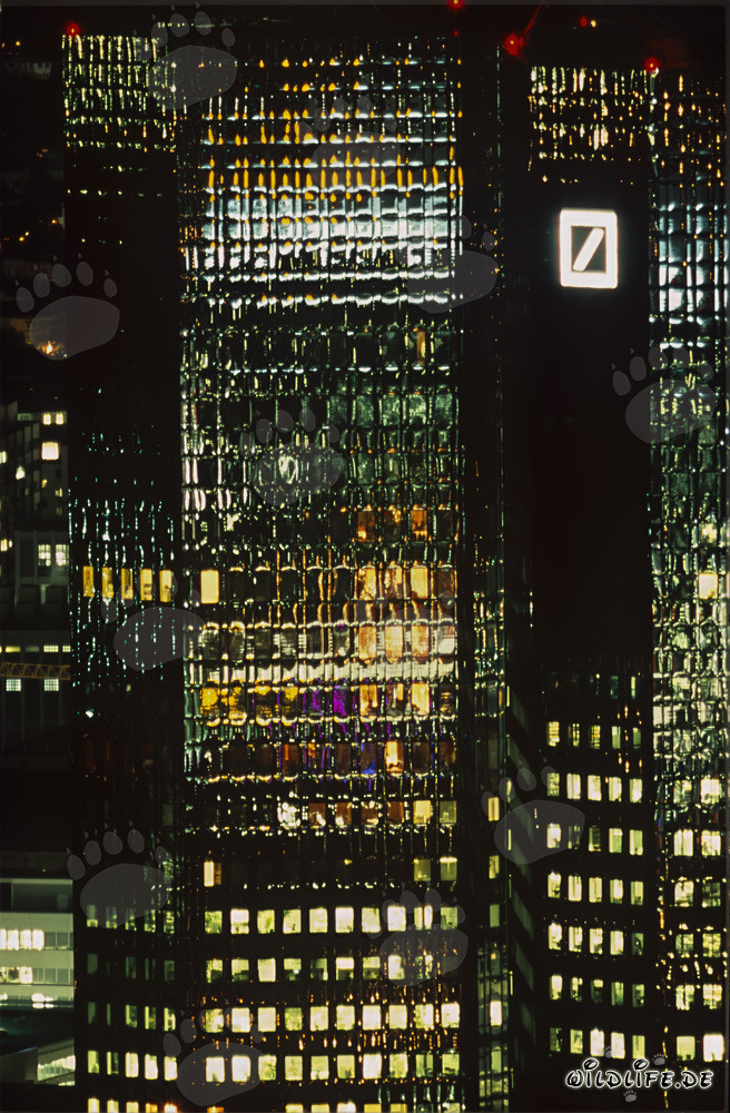 Attraction fascinante aux couleurs les plus belles - Deutsche Bank