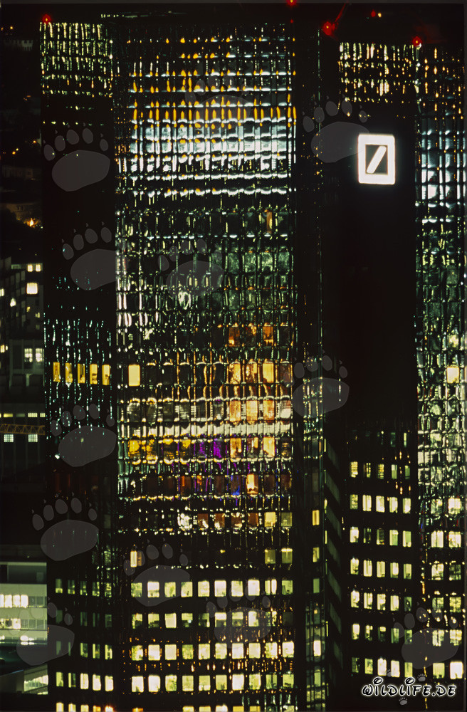 Attrazione affascinante nei colori più belli - Deutsche Bank