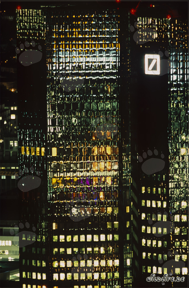 Faszinierender Blickfang in den schönsten Farben - Deutsche Bank