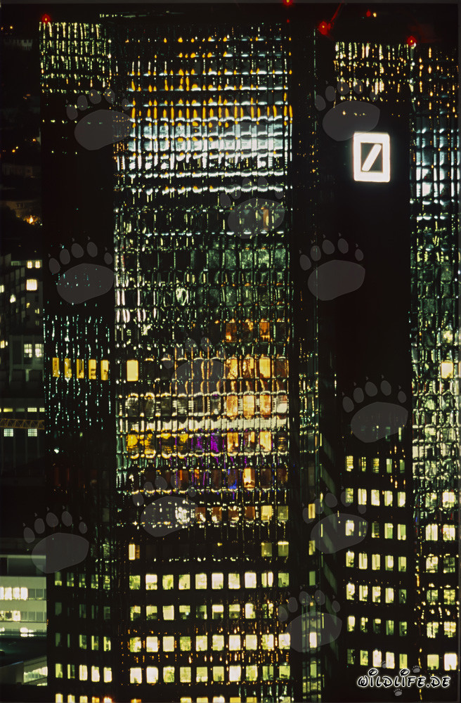 Captivating Eye-Catcher in the Most Beautiful Colors - Deutsche Bank