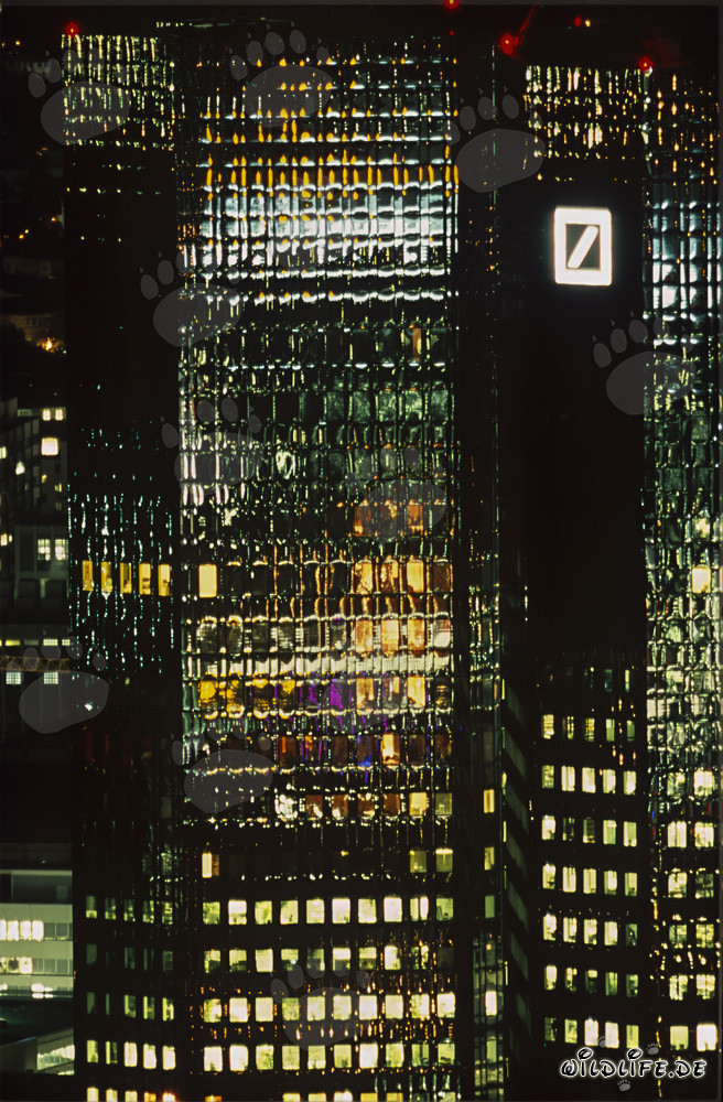 Atracción fascinante en los colores más hermosos - Deutsche Bank