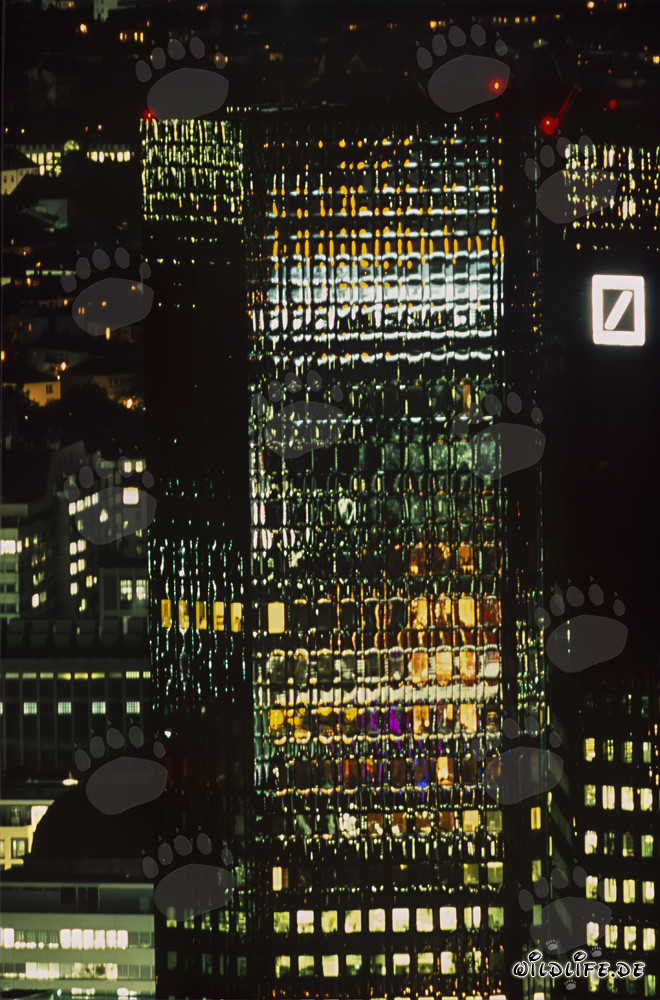 Farbenfrohe Deutsche Bank in Frankfurt am Main bei Nacht