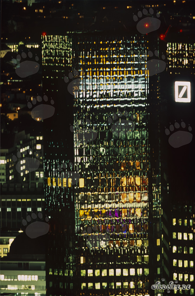 Colorful Deutsche Bank in Frankfurt at Night