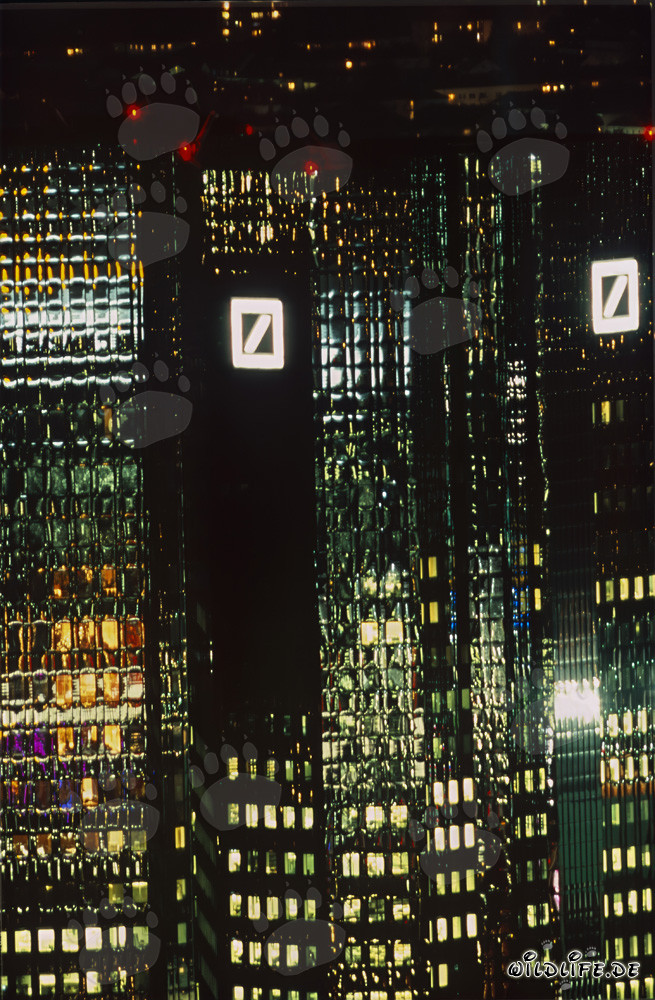 Eyecatcher Deutsche Bank at night
