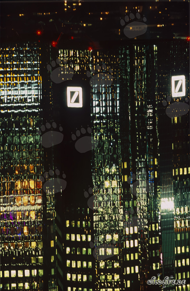 Blickfang Deutsche Bank bei Nacht