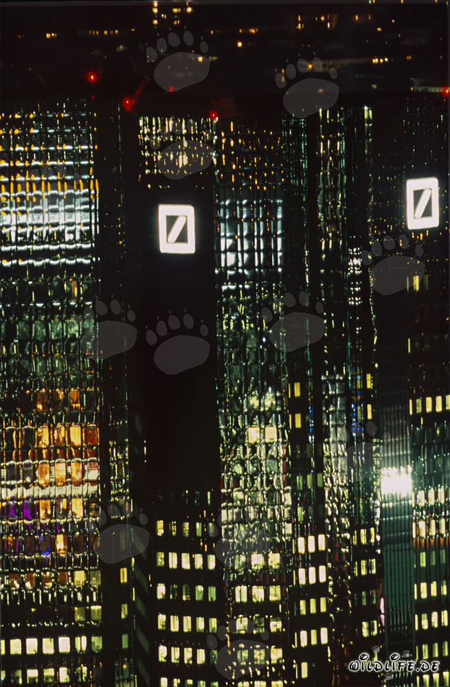 Vista impresionante del Deutsche Bank de noche