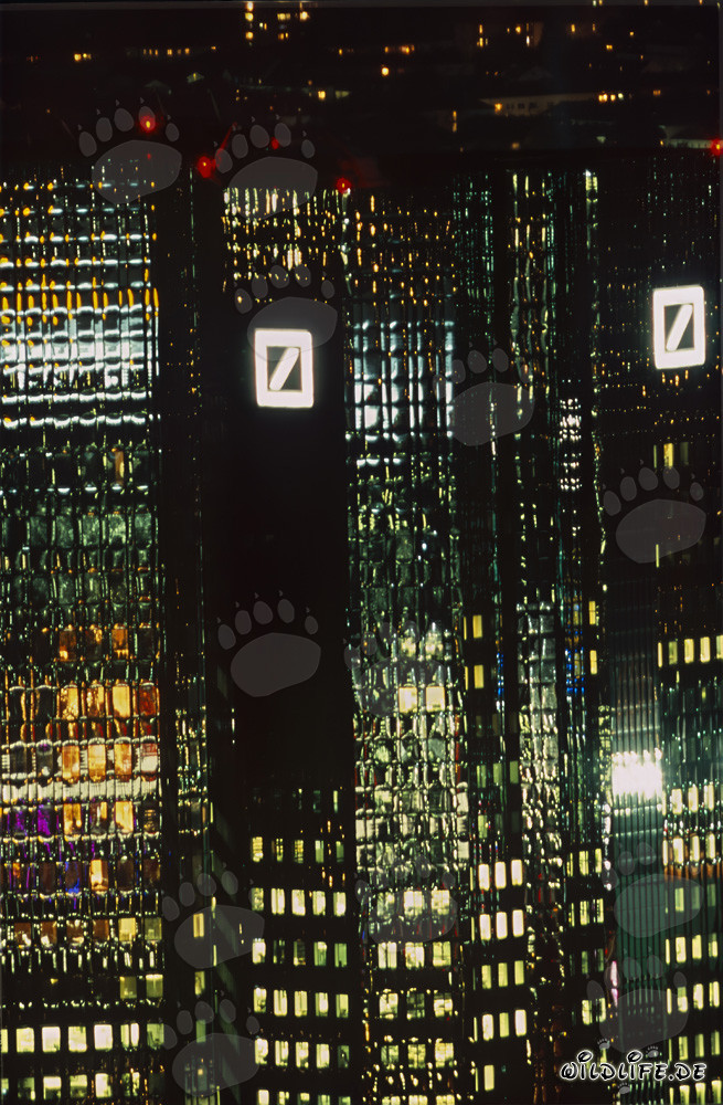 Vue remarquable de la Deutsche Bank de nuit