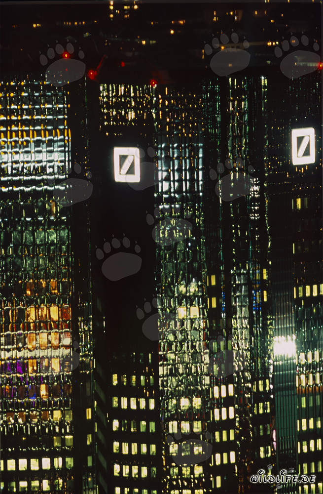 Veduta notturna suggestiva della Deutsche Bank