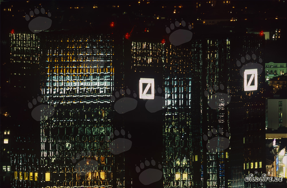 Francfort de nuit : les tours jumelles de la Deutsche Bank brillant sous les lumières