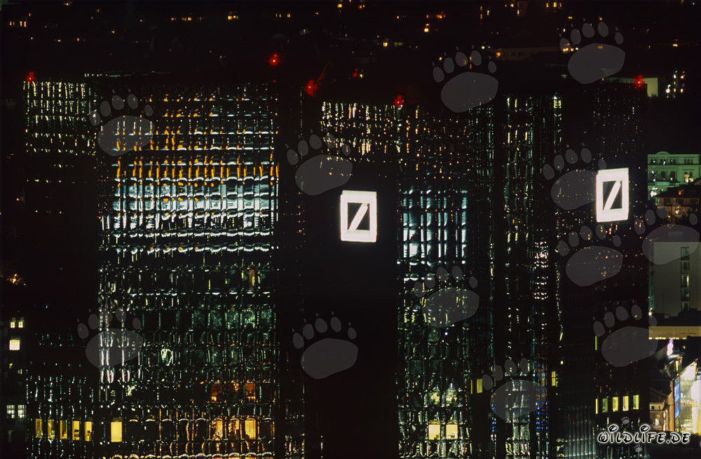 Frankfurt at Night: Deutsche Bank Twin Towers Shining in the Lights