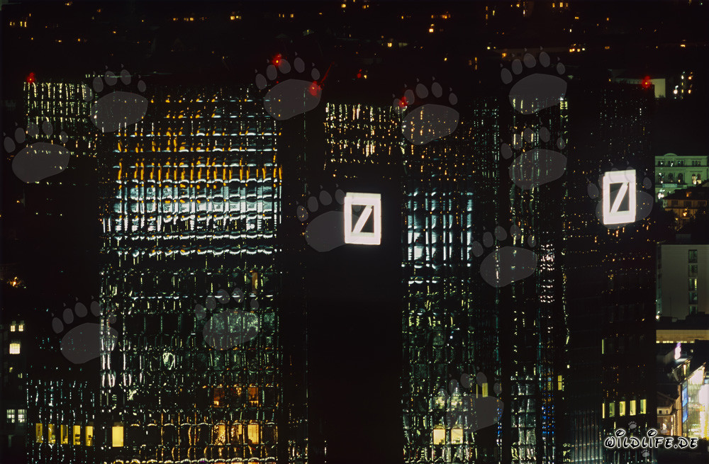Francoforte di notte: le torri gemelle della Deutsche Bank splendenti tra le luci