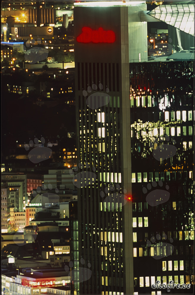 Francfort de nuit - skyline impressionnante avec gratte-ciel illuminés